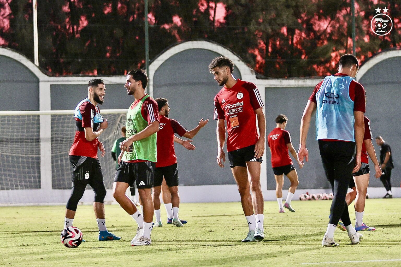 Algeria vs Botswana: Match Time and Viewing Options – September 4, 2025
