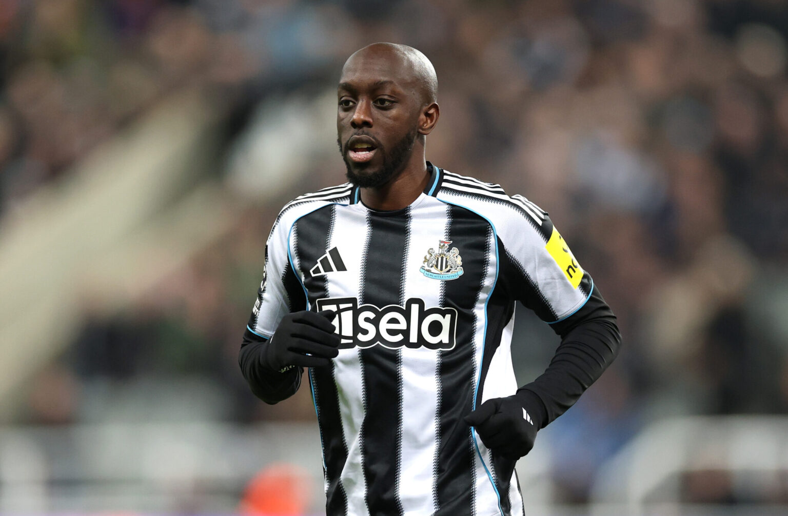 Newcastle vs Fulham: Match Preview and Team Updates