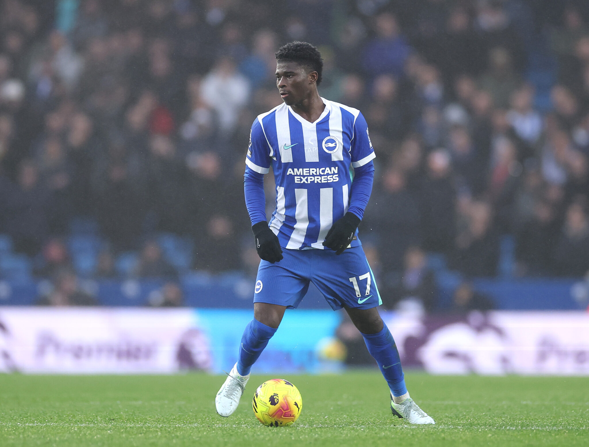 Brighton vs Everton: Expected Lineup and Team Updates