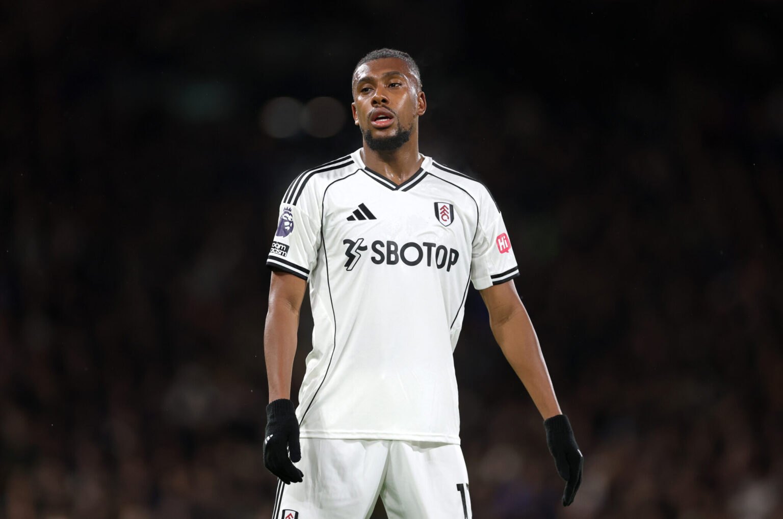 Fulham vs Brighton: Expected Lineup and Team Updates