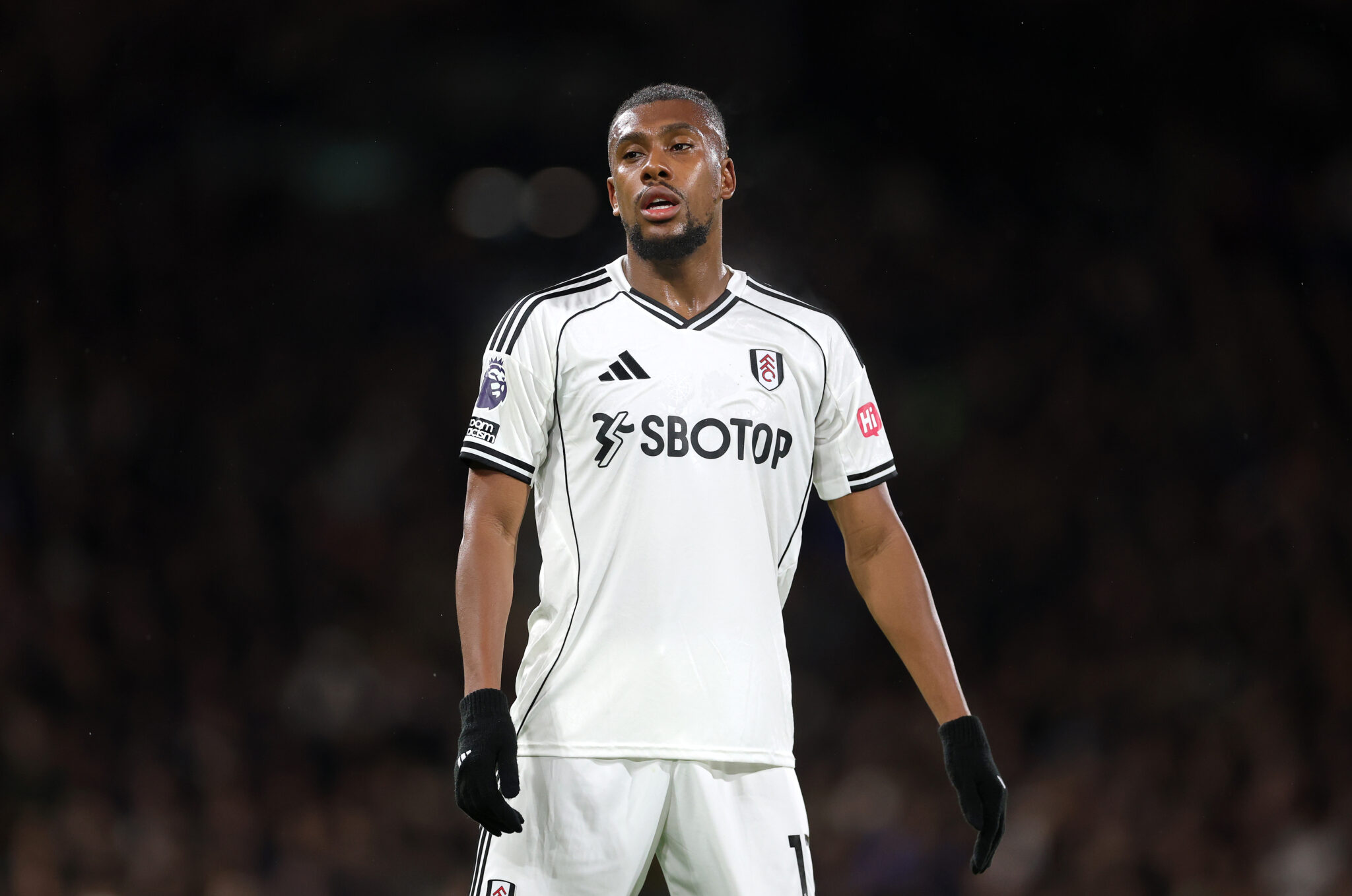 Fulham vs Brighton: Expected Lineup and Team Updates