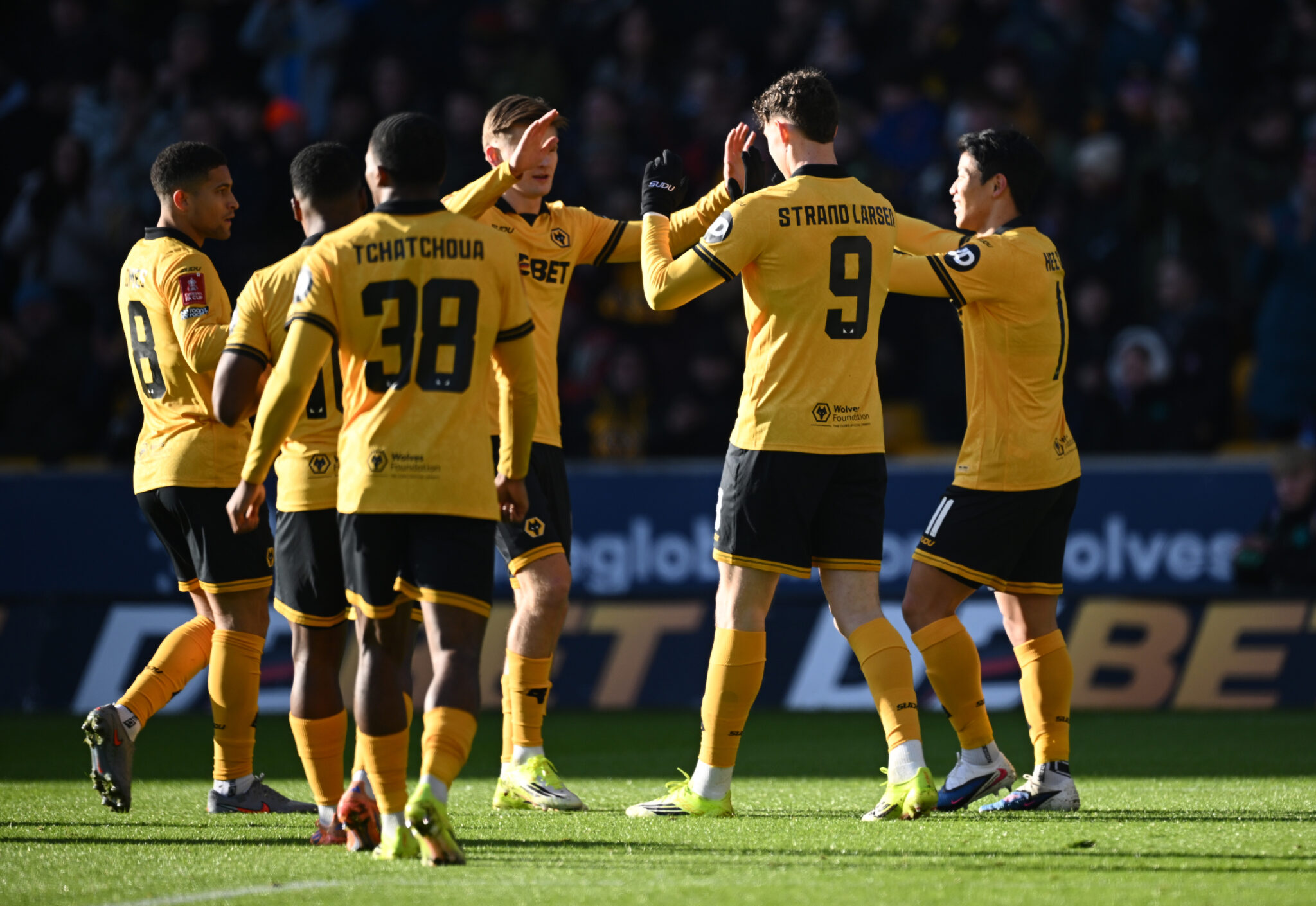 Wolves vs Newcastle United – Match Preview and Team Updates