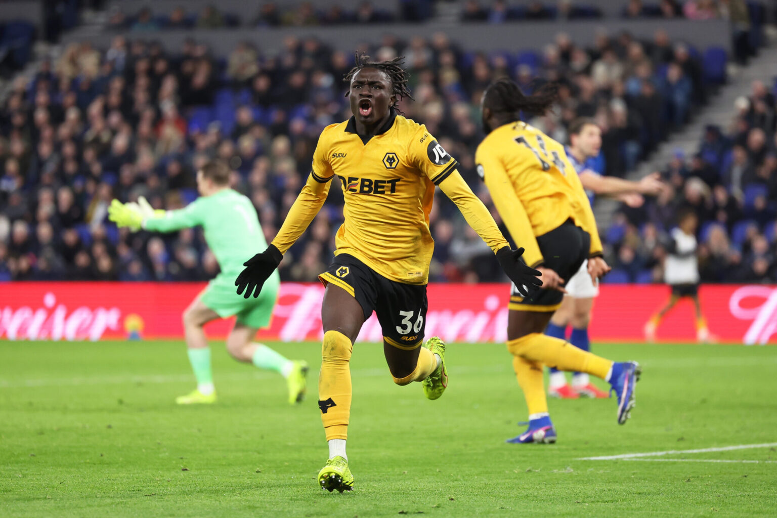 Wolves vs Shrewsbury Town – Expected Lineup and Team Updates