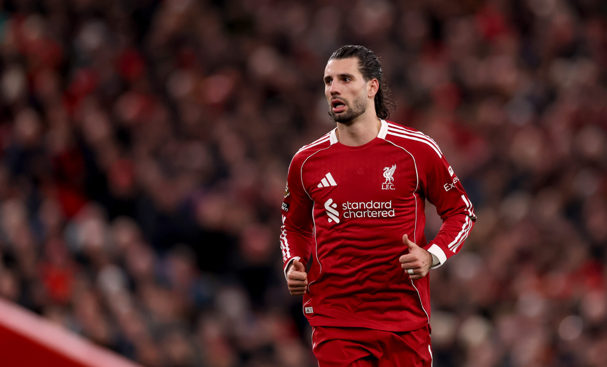 Liverpool vs Brighton – Expected Lineup and Team Updates