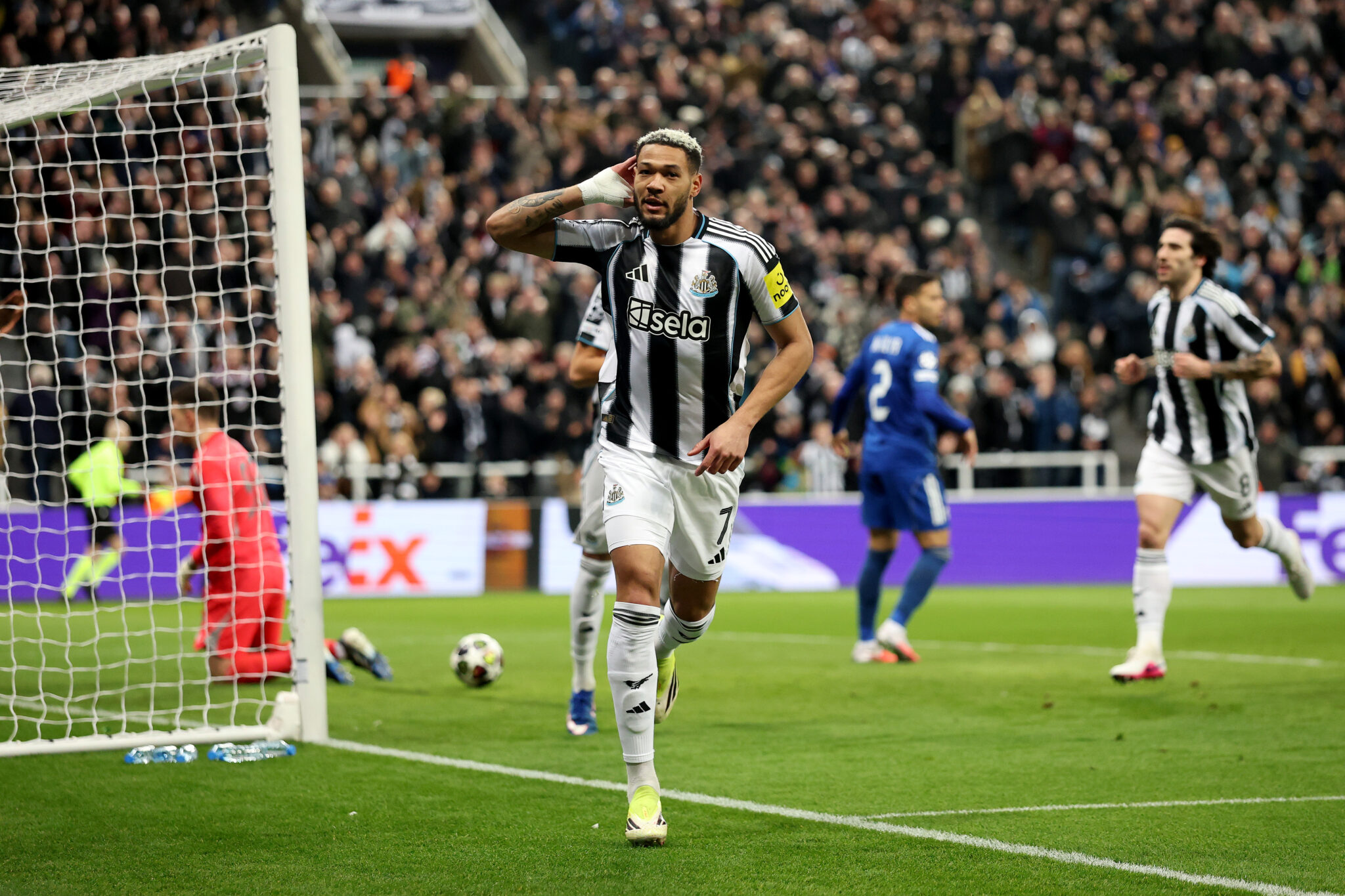 Newcastle United vs Everton: Team News and Predicted Lineup
