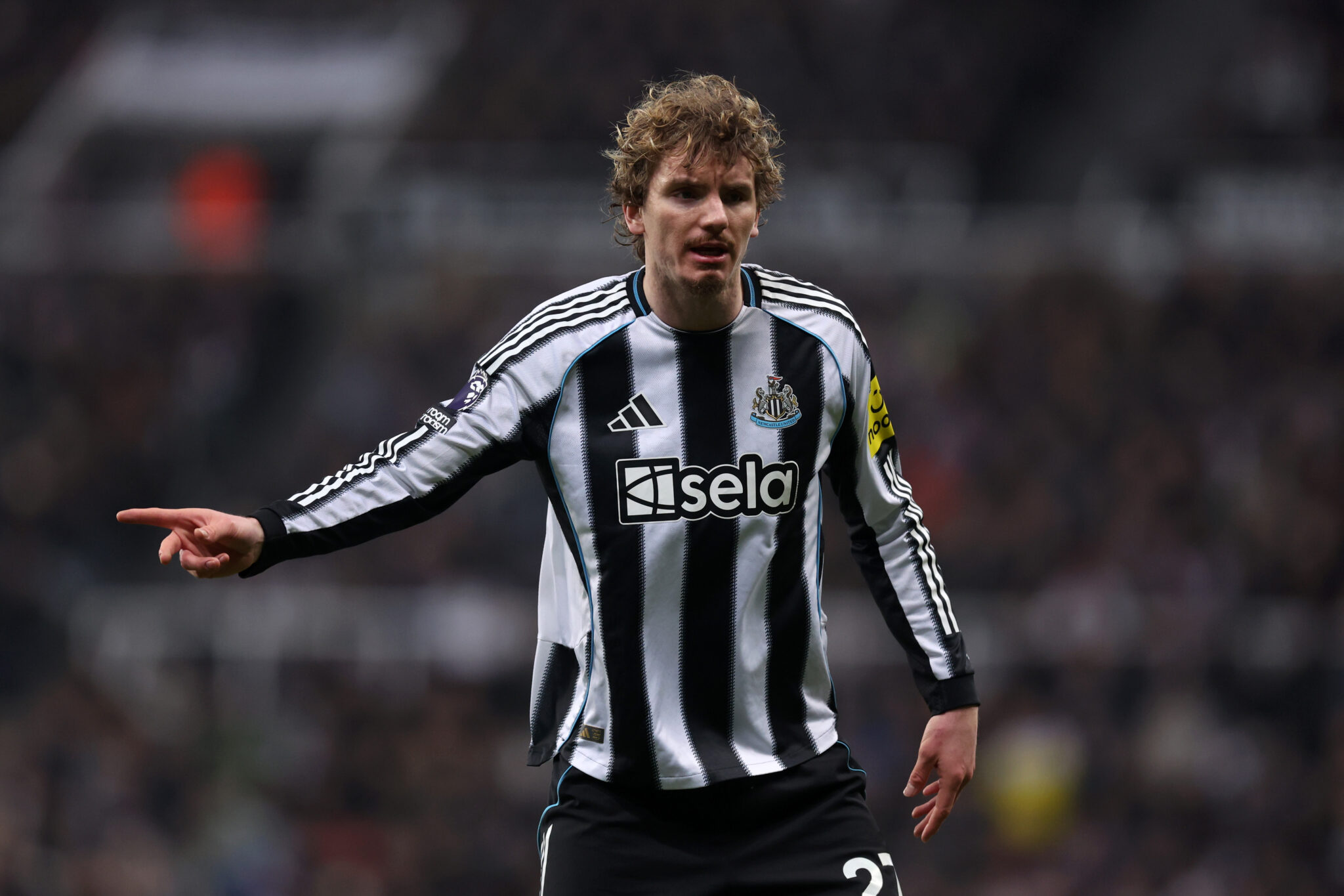 Newcastle XI vs Tottenham: Team News and Predicted Lineup