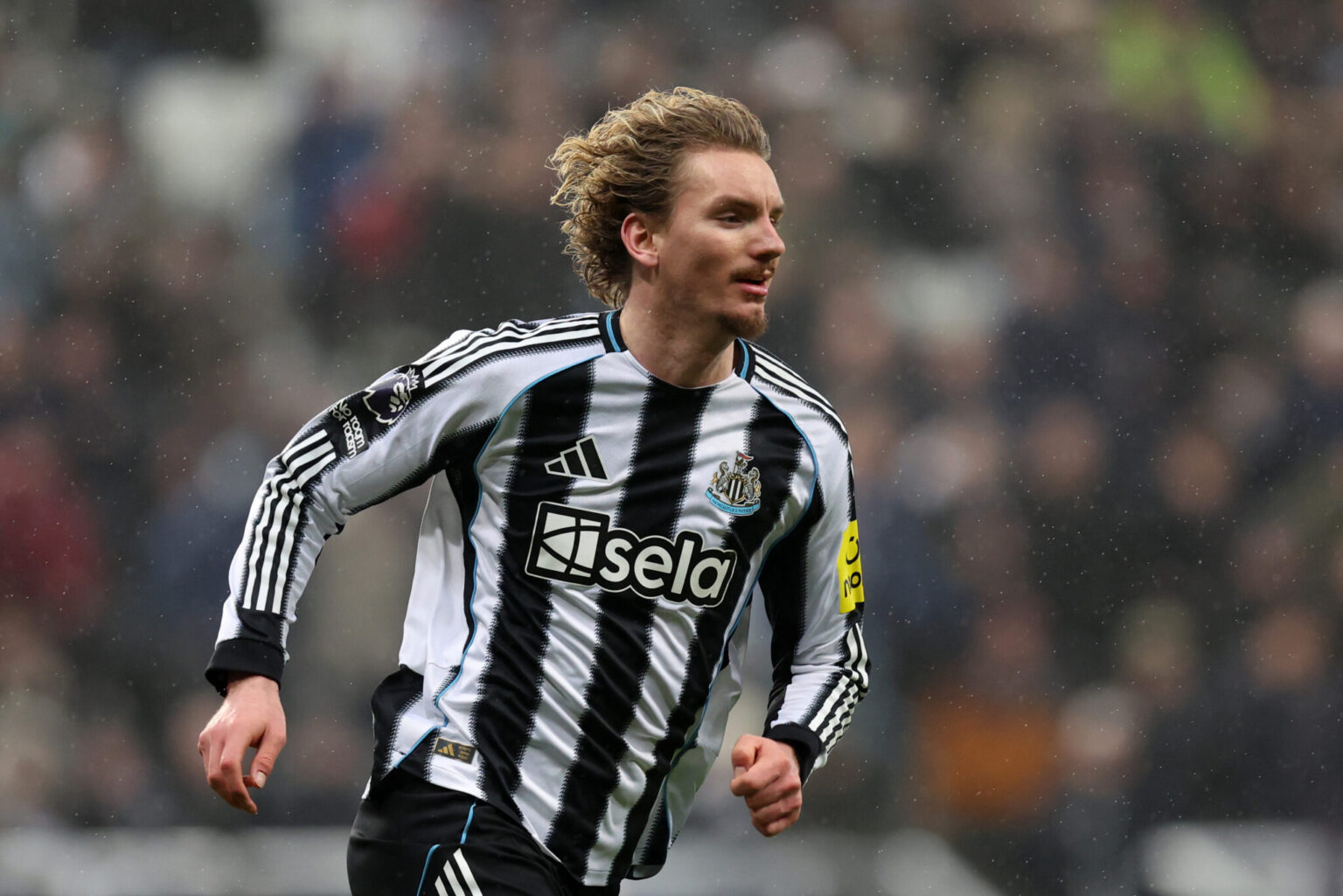 Scout: Woltemade Doesn’t Fit the Profile of a Newcastle Number 9