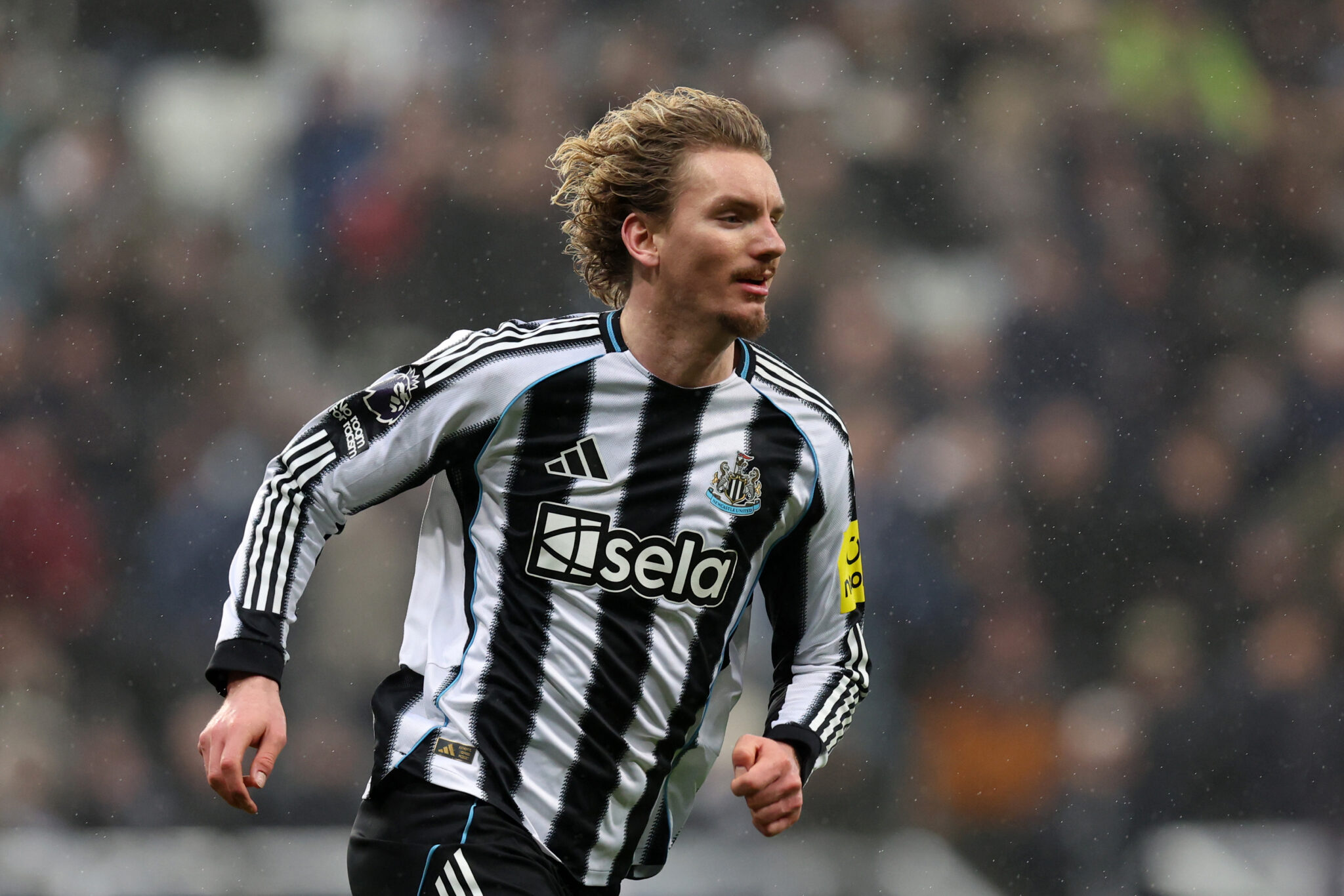 Scout: Woltemade Doesn't Fit the Profile of a Newcastle Number 9