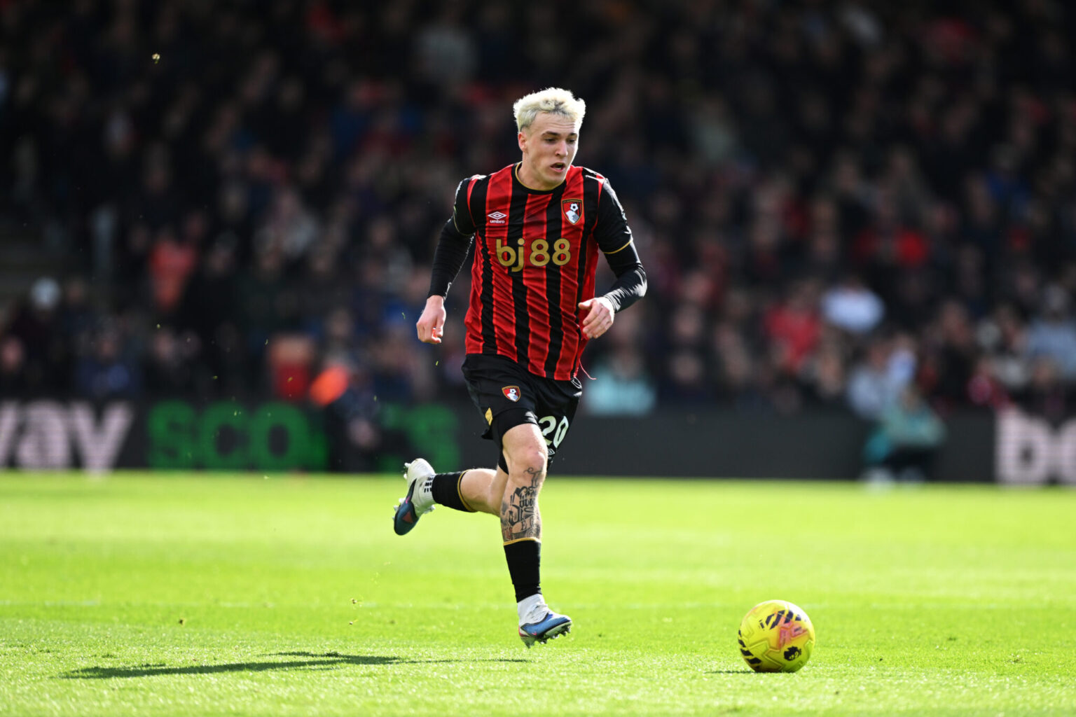 Alex Jimenez Aims for World Cup Glory Following Bournemouth Transfer