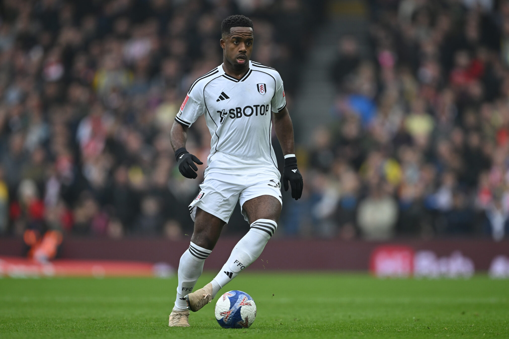 Fulham vs Nottingham Forest - Predicted Lineup and Team Update