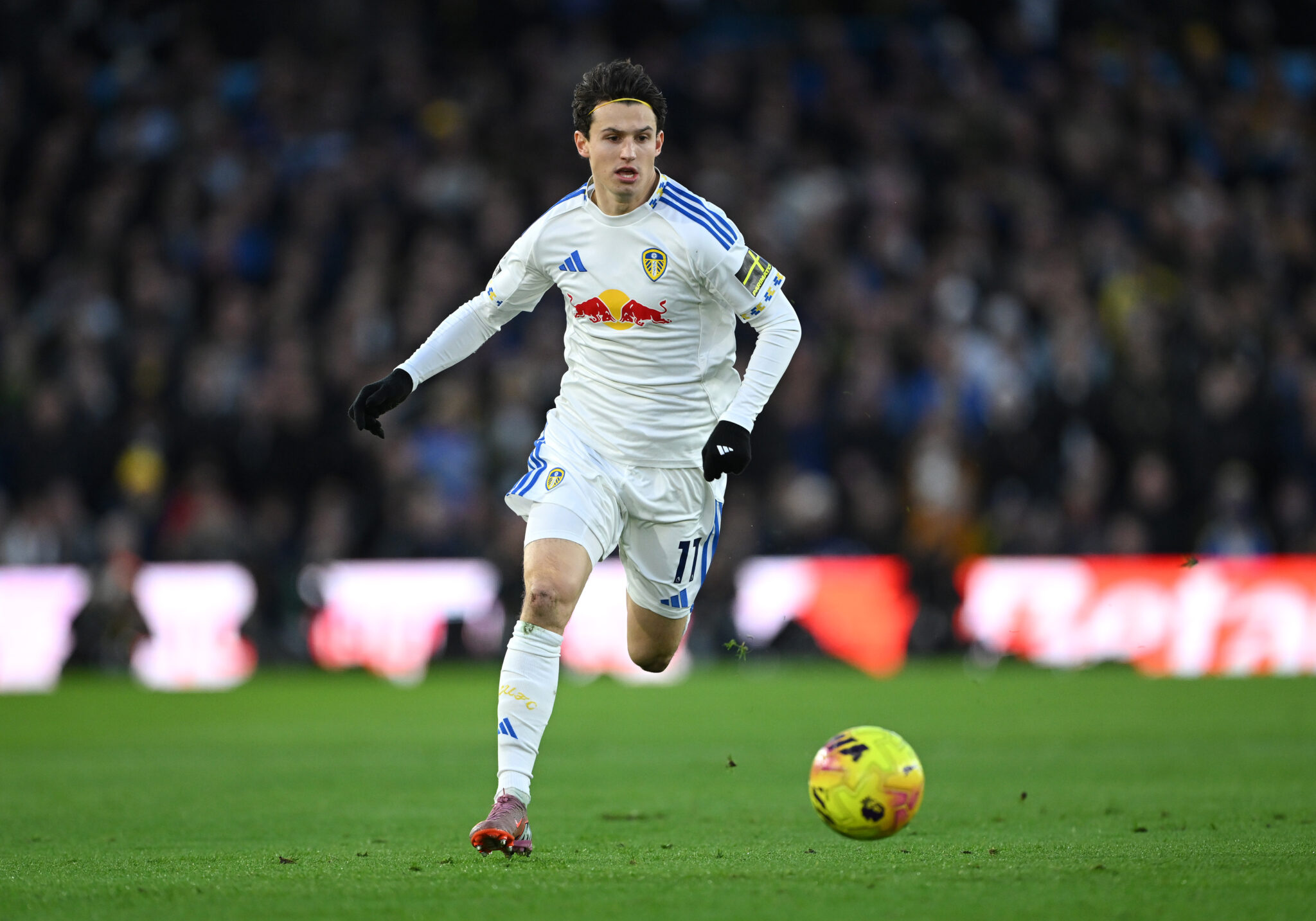 Leeds United vs Sunderland – Expected Lineup and Team Updates