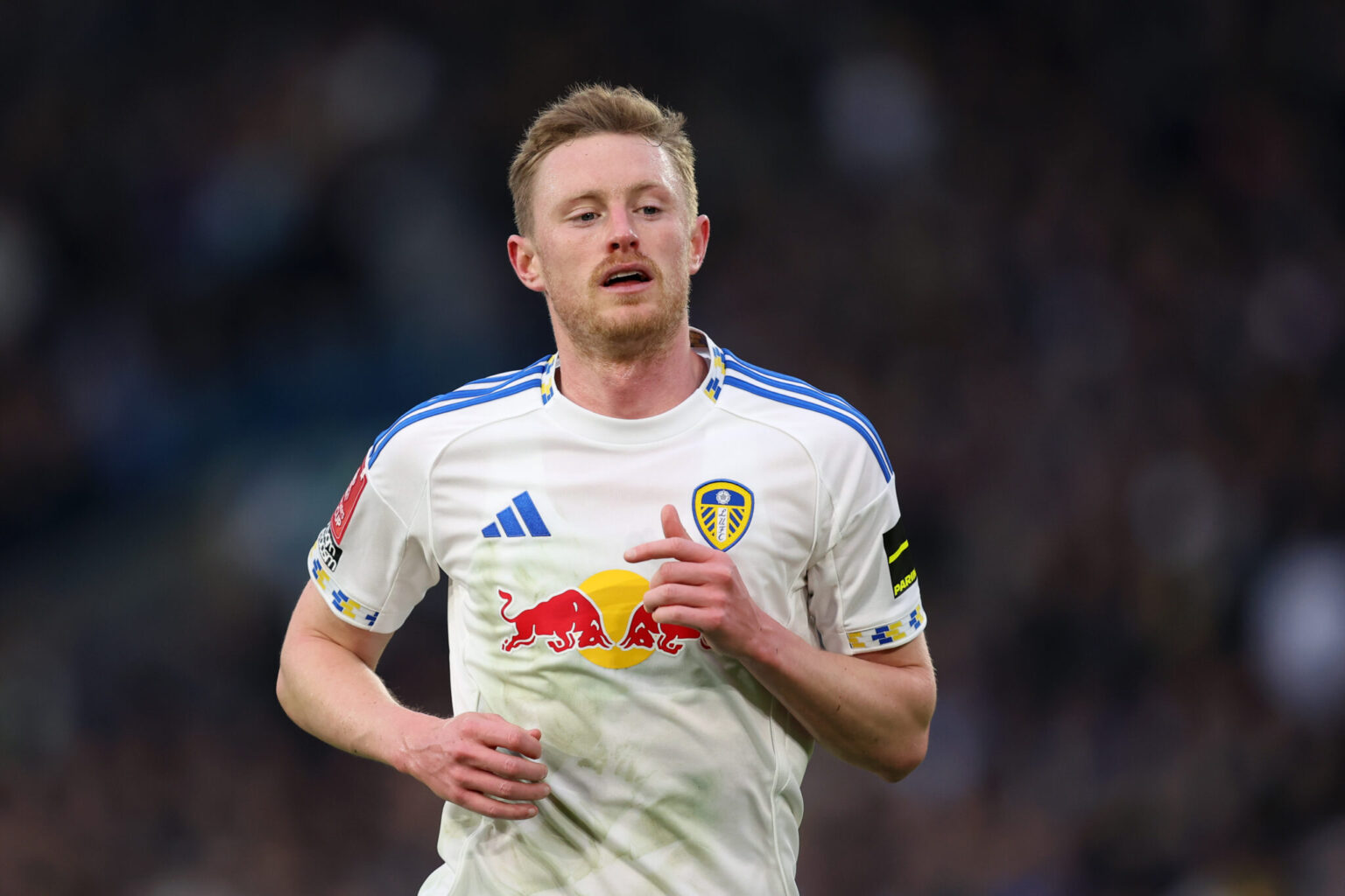 Leeds XI vs Crystal Palace: Expected Lineup and Team Updates