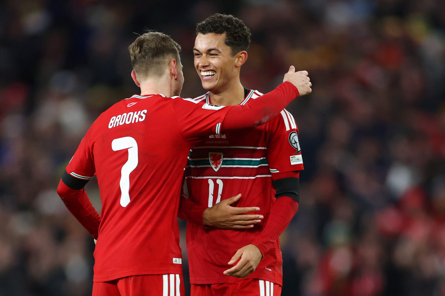 Wales vs Bosnia: Match Preview and Team Updates